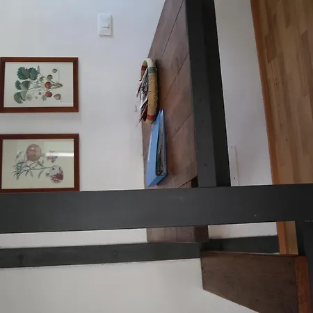 阿夸利奥阁楼公寓 公寓 *